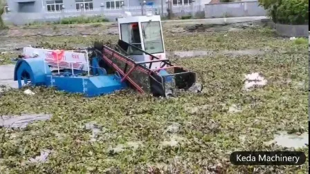 Jacinto de água hidráulico/ervas daninhas aquáticas/lentilha-d'água/reed Moveral Harvester