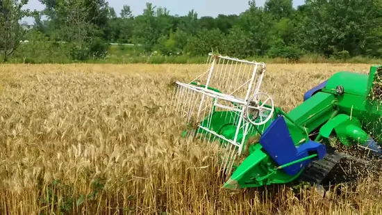 Colheitadeira de trigo de fábrica Acme Máquina de colheita de arroz em casca