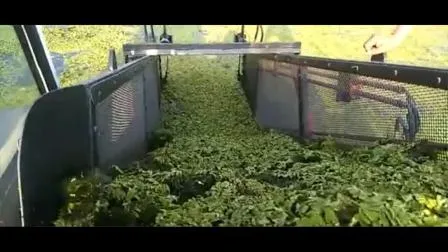 3,5 Ton 4 Ton 5ton 4X4 4WD Mini totalmente hidráulico diesel/empilhadeira elétrica para terrenos acidentados Empilhadeira fora de estrada Empilhadeira Euro 5 Preço EPA 50% de desconto no frete grátis